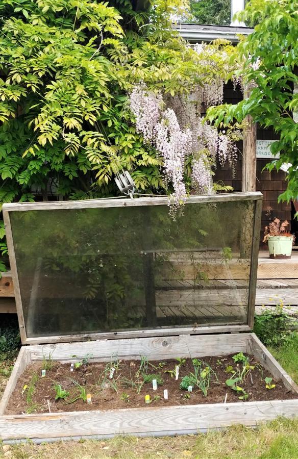 Lummi Island Nettles Farm酒店 外观 照片